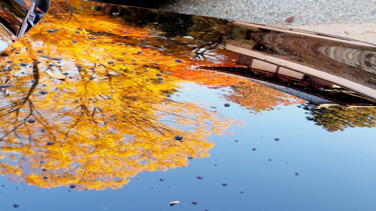 Gele herfstbladeren en blauwe lucht weerspiegeld in de gepolierde lak van een donkere wagen